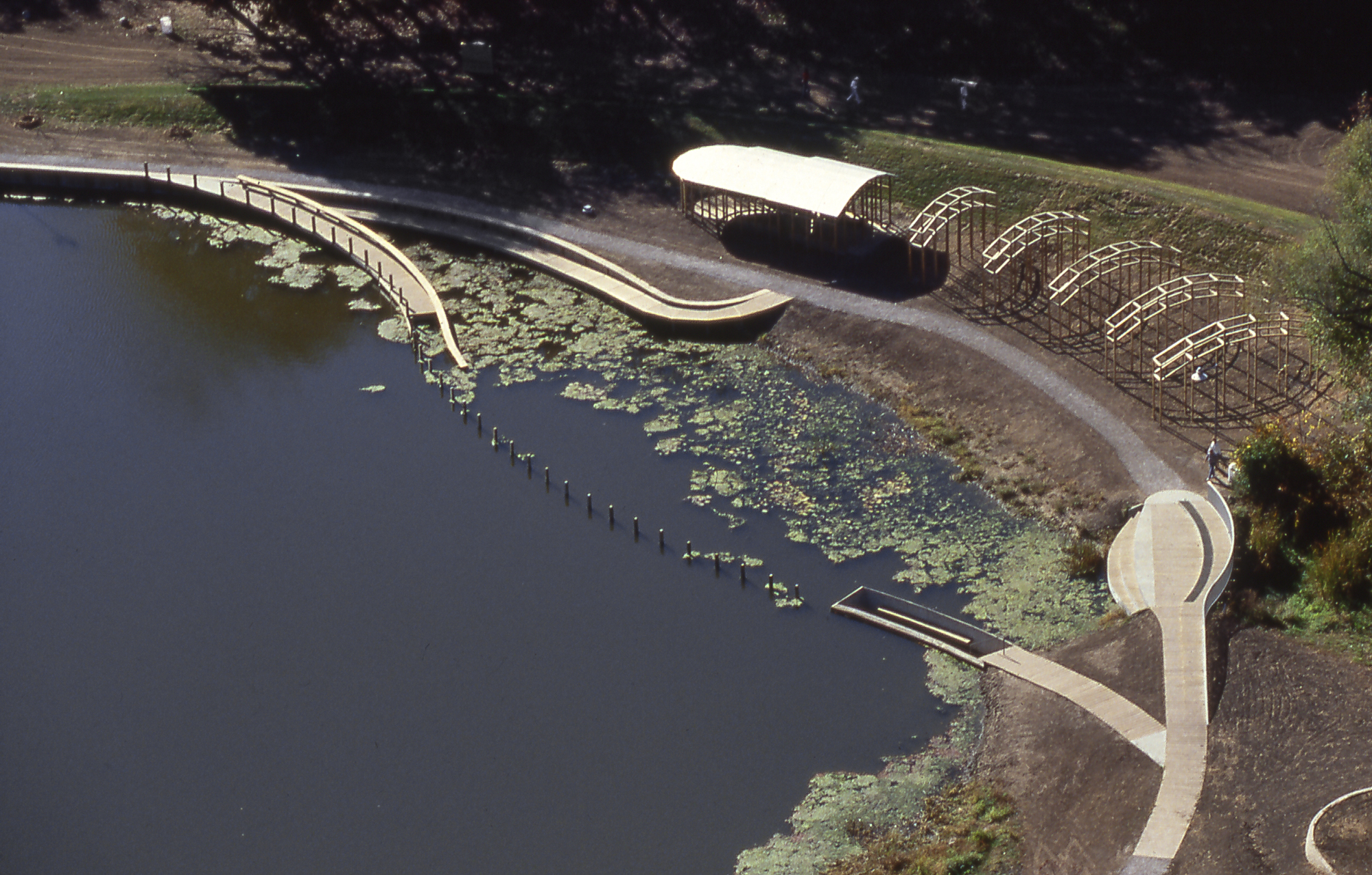 Aerial view of wooden pathway that wades into and under a pond