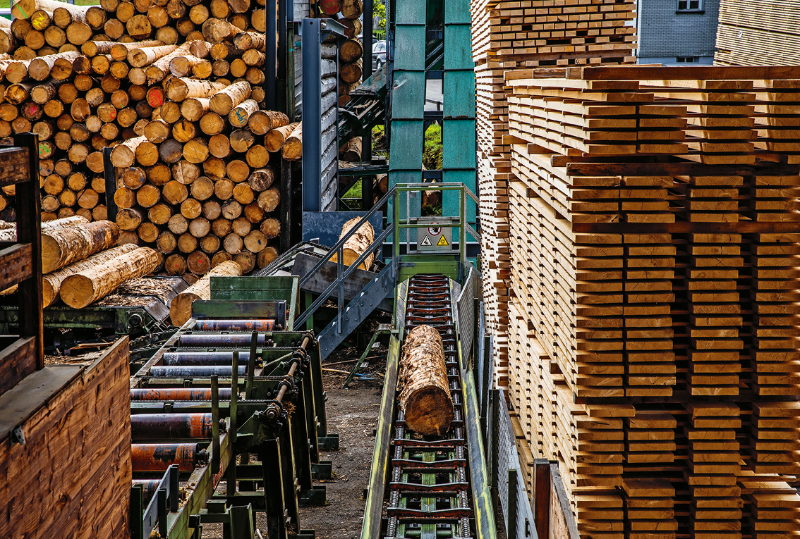 Logs cut and organized for human use