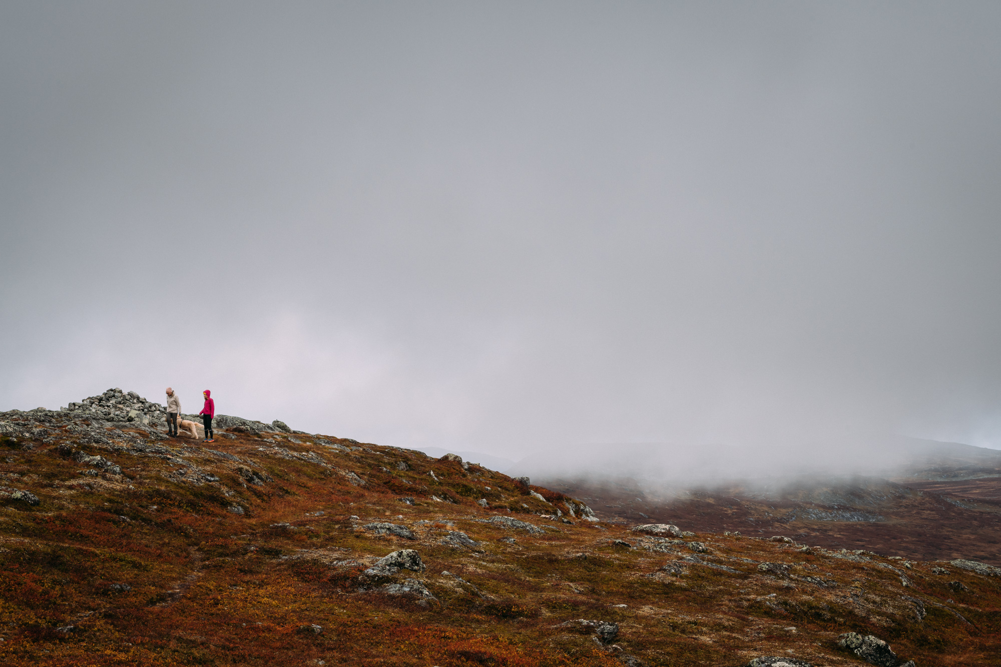 Wide shot of two people and a dog wandering rust-colored hills in Tänndalen, Sweden
